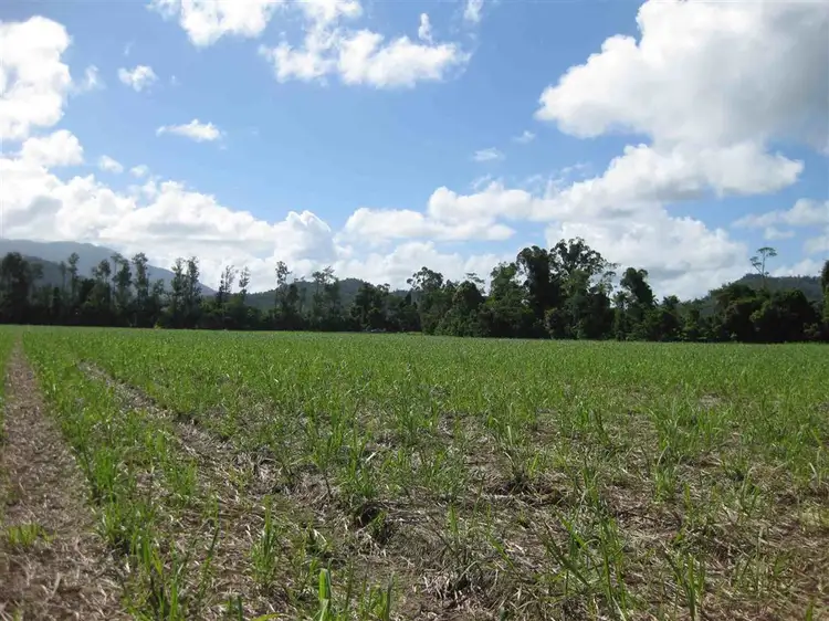 Third view of Homely rural property listing, 0 Bruce Highway, El Arish QLD 4855