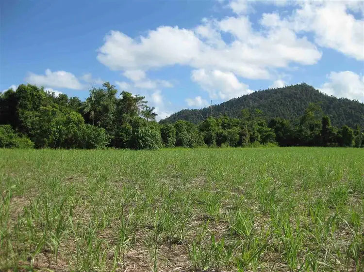 Fourth view of Homely rural property listing, 0 Bruce Highway, El Arish QLD 4855