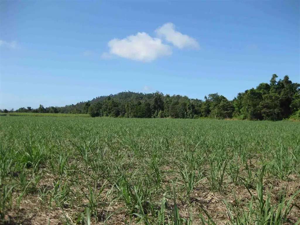 Main view of Homely rural property listing, 0 Granadilla Road, Granadilla QLD 4855