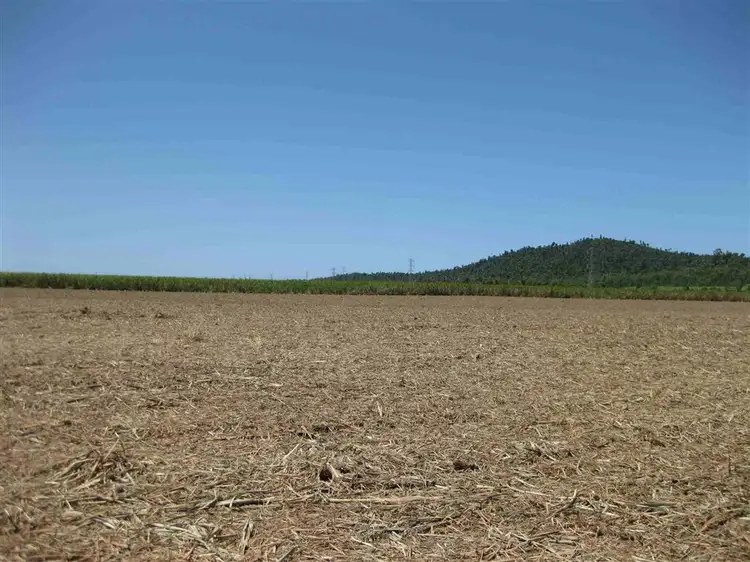 Third view of Homely rural property listing, 0 Granadilla Road, Granadilla QLD 4855