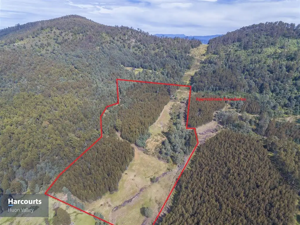 Main view of Homely land listing, 1012 Halls Track Road, Pelverata TAS 7150