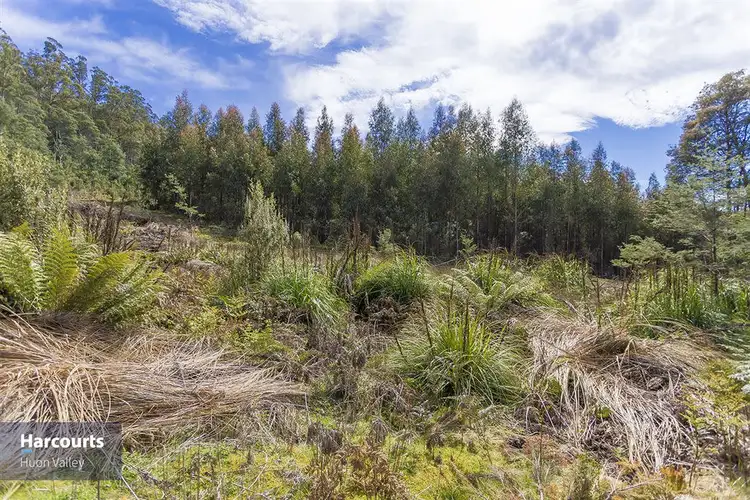 Fourth view of Homely land listing, 1012 Halls Track Road, Pelverata TAS 7150