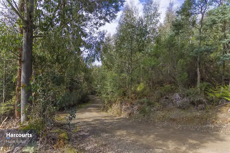 Sixth view of Homely land listing, 1012 Halls Track Road, Pelverata TAS 7150