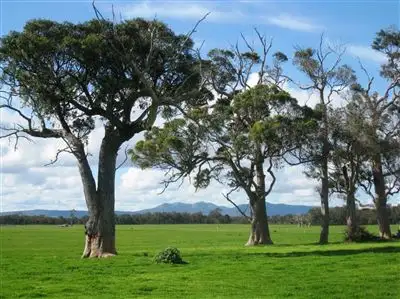 Main view of Homely rural property listing, Address available on request