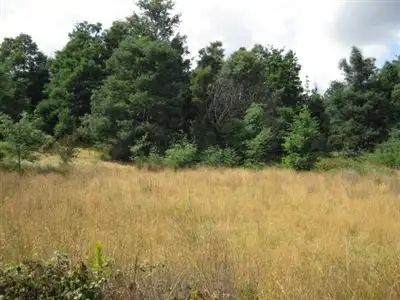 Third view of Homely rural property listing, 361 Lalla Road, Lalla TAS 7267