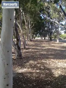 Seventh view of Homely land listing, 237 Ayrshire Loop, Lower Chittering WA 6084