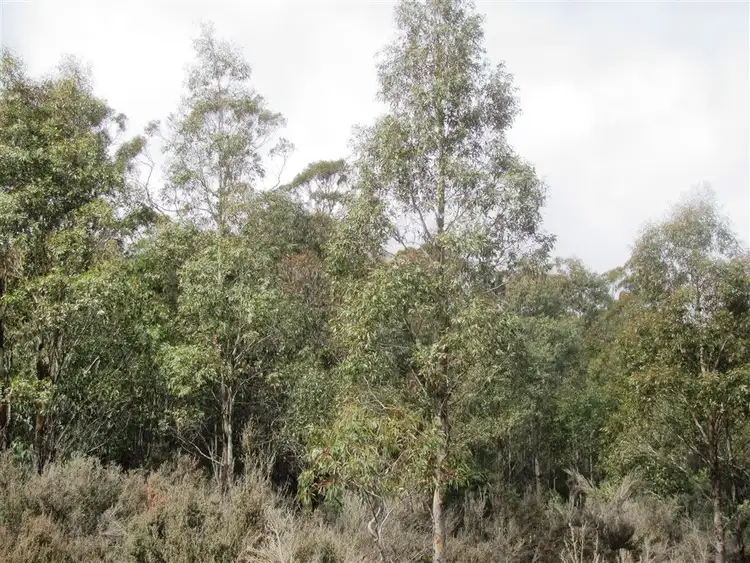 Sixth view of Homely rural property listing, . Interlaken Road, Oatlands TAS 7120