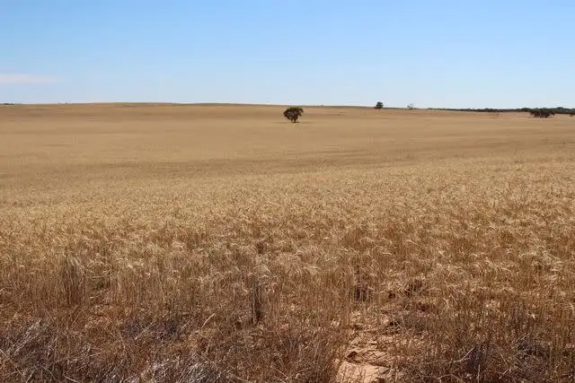 Main view of Homely rural property listing, . John Road, Walpeup VIC 3507