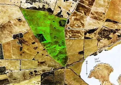 Second view of Homely rural property listing, sections/10,16,19 Hundred Coonarie, Warooka SA 5577