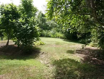 Third view of Homely land listing, 4 Tyree Road, Mount Julian QLD 4800