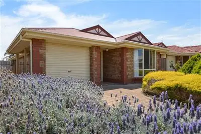 Main view of Homely house listing, 31 Ainslie Roberts Drive, Encounter Bay SA