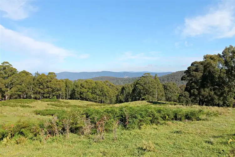 Fourth view of Homely rural property listing, Cnr Araluen Road and Monga Lane Reidsdale, Braidwood NSW 2622