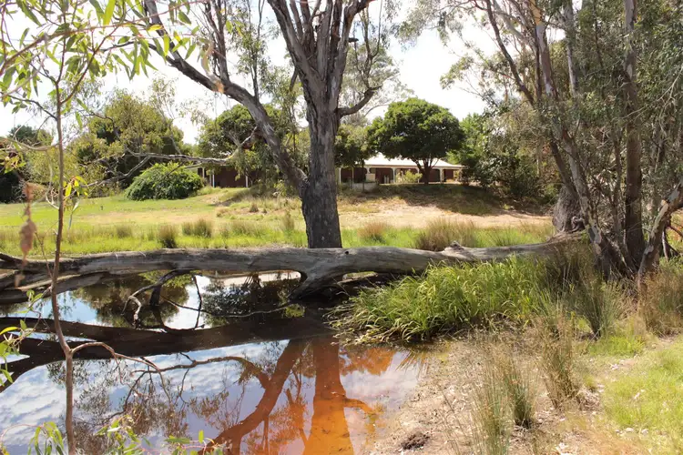 Second view of Homely house listing, 39 Connellys Creek Road, Acheron VIC 3714