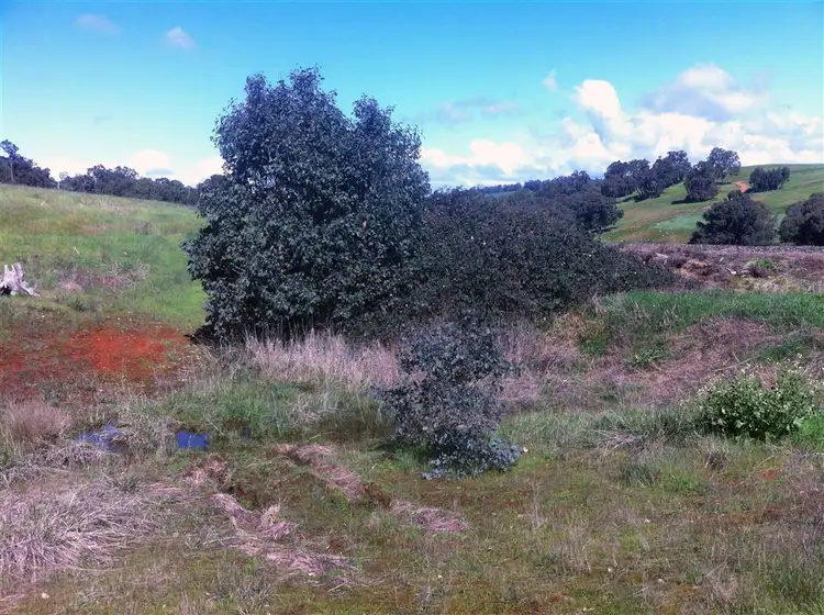 Third view of Homely land listing, Lot 151 Dexter Rise, Bridgetown WA 6255