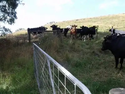 Fourth view of Homely rural property listing, Lot 1-7 Albert River Road, Hiawatha VIC 3971