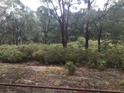 Fourth view of Homely land listing, CA 2 Simpson Street, Nerrina VIC 3350