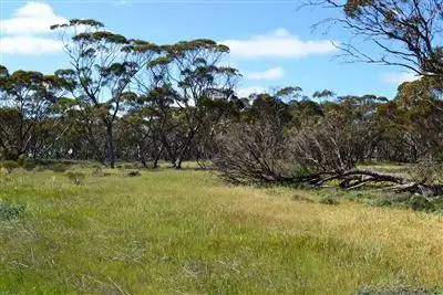 Fifth view of Homely rural property listing, 272 Pit West Road, Paskeville SA 5552