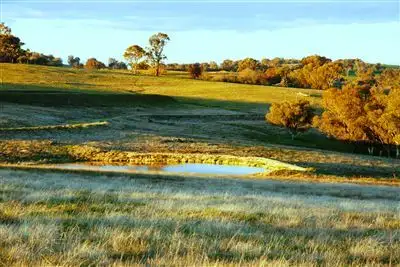 Fifth view of Homely rural property listing, 573 & 749 Bendenine Road, Binalong NSW 2584