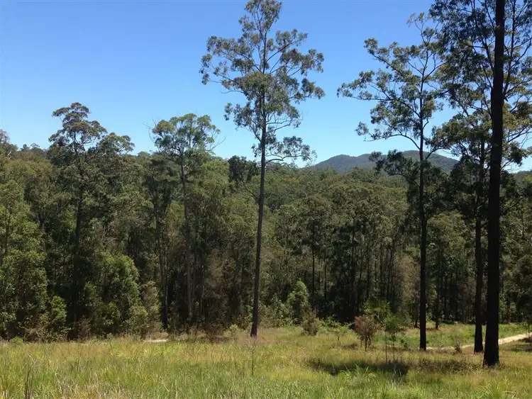 Second view of Homely rural property listing, 406 Brookhouse Rd, Pembrooke NSW 2446