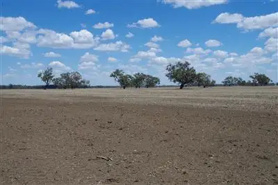 Second view of Homely rural property listing, . Middle Route Road, Burren Junction NSW 2386