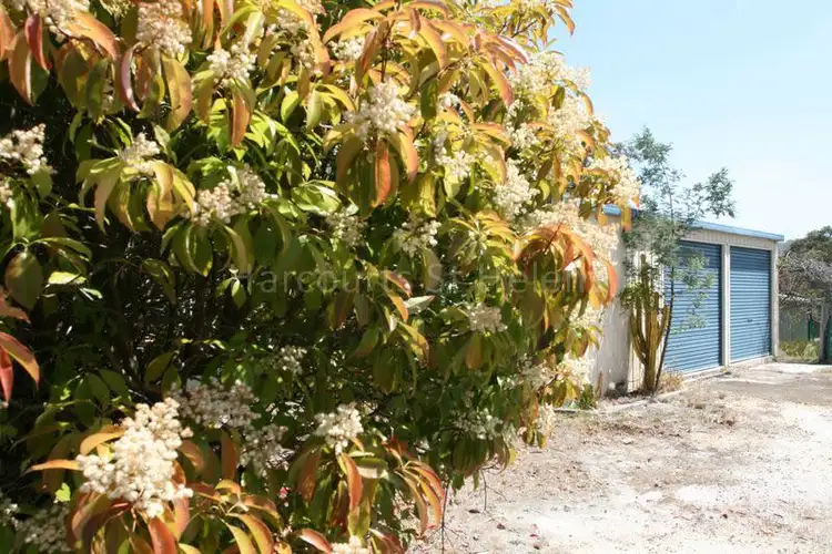 Third view of Homely land listing, 16 Talbot Street, Stieglitz TAS 7216