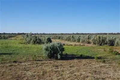 Fifth view of Homely rural property listing, 8418 Come By Chance Road, Pilliga NSW 2388