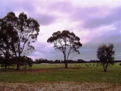 Second view of Homely rural property listing, CA 19 Scotts Road, Neilborough VIC 3570