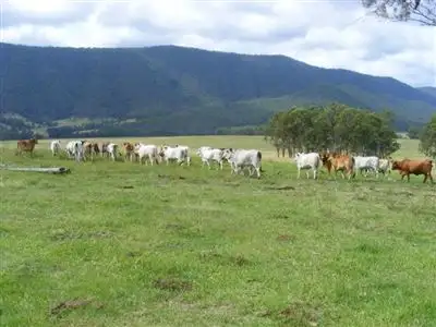 Seventh view of Homely rural property listing, "Kintyre"/9472 Old Grafton Rd, Glen Innes NSW 2370