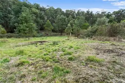 Fifth view of Homely rural property listing, 38 Gunn Road, Crossover VIC 3821