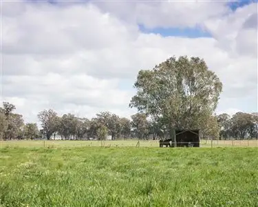 Third view of Homely rural property listing, 45 Lydiards Road, Euroa VIC 3666