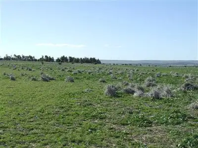 Third view of Homely rural property listing, Lot 27 Butcher Road, Bookara WA 6525