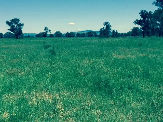 Fourth view of Homely rural property listing, 0 Peck Road, Violet Town VIC 3669