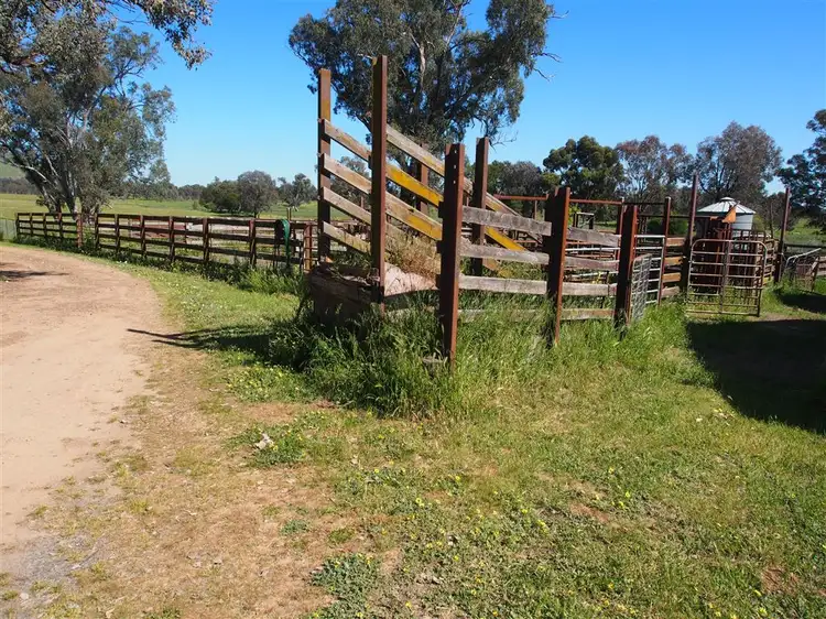 Fourth view of Homely rural property listing, 1398 Mansfield Road, Benalla VIC 3672