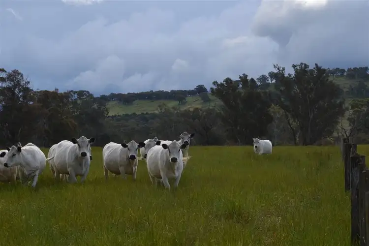 Sixth view of Homely rural property listing, 1398 Mansfield Road, Benalla VIC 3672