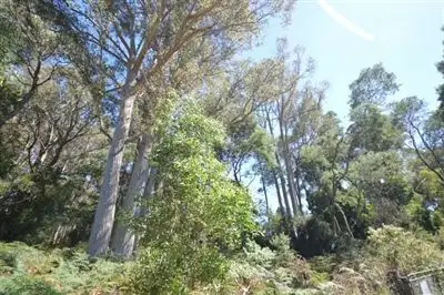 Fourth view of Homely rural property listing, lot 1 Grundy's Rd, Dunorlan TAS