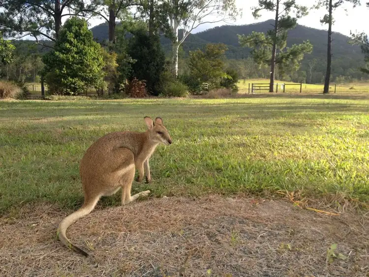 Seventh view of Homely rural property listing, Address available on request
