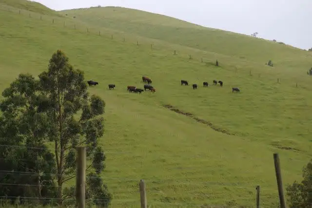 Third view of Homely rural property listing, 1525 Nerrena Road, Dumbalk VIC 3956