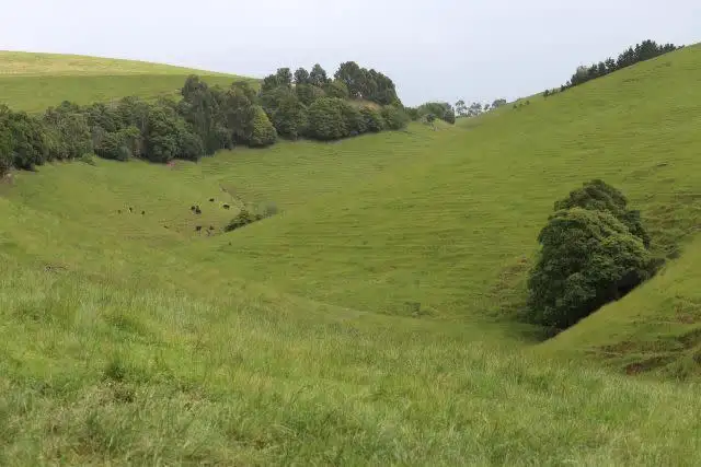 Fourth view of Homely rural property listing, 1525 Nerrena Road, Dumbalk VIC 3956