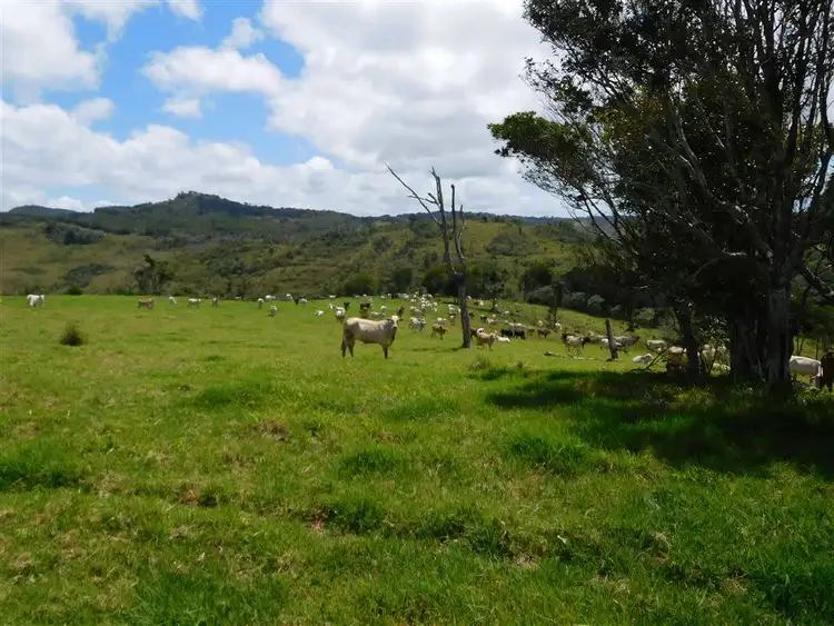 Fifth view of Homely rural property listing, Address available on request