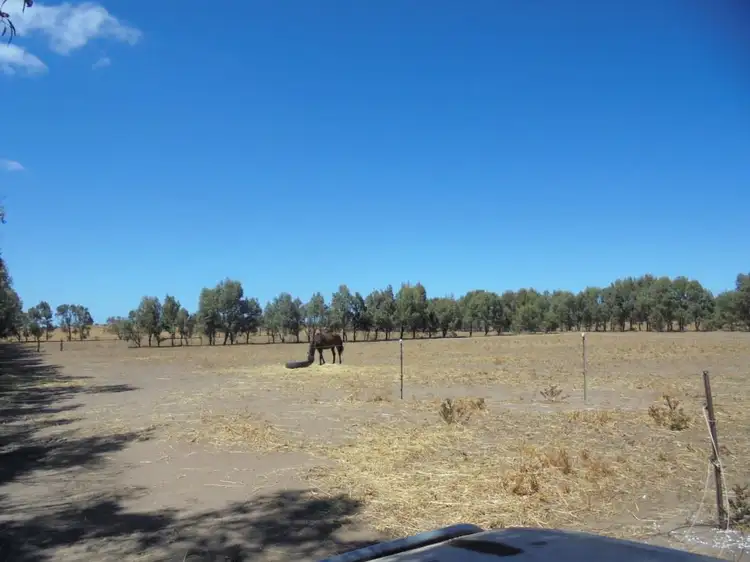 Fifth view of Homely rural property listing, 31638 Brand Hwy, Bookara WA 6525
