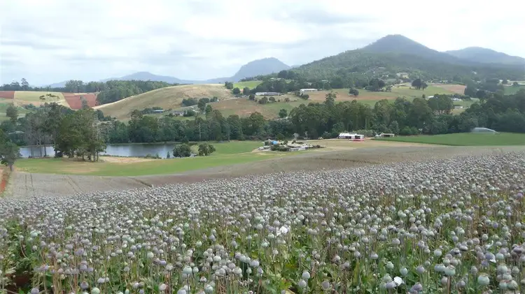Main view of Homely rural property listing, 12060 Bass Highway, Penguin TAS 7316
