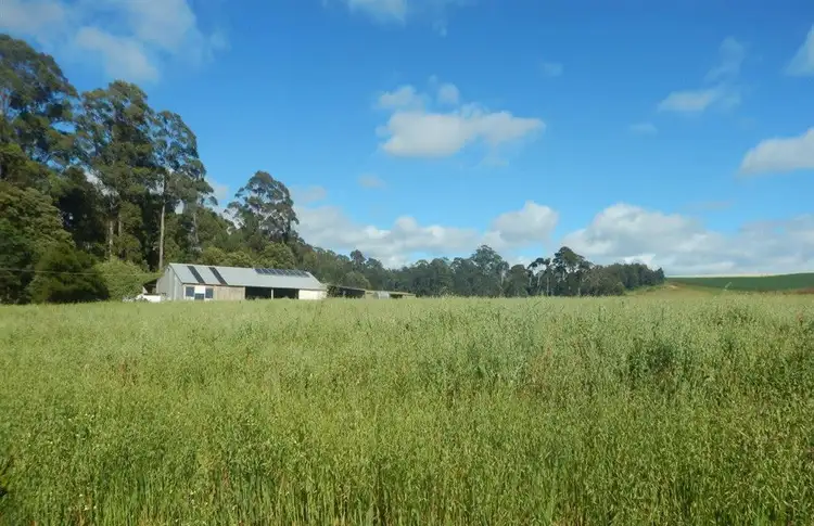 Fifth view of Homely rural property listing, 12060 Bass Highway, Penguin TAS 7316