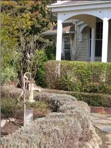 Seventh view of Homely house listing, 23 Banfield Street, Ararat VIC
