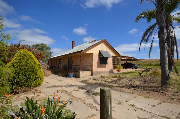 Main view of Homely house listing, 29 Bone Road, Pinnaroo SA 5304