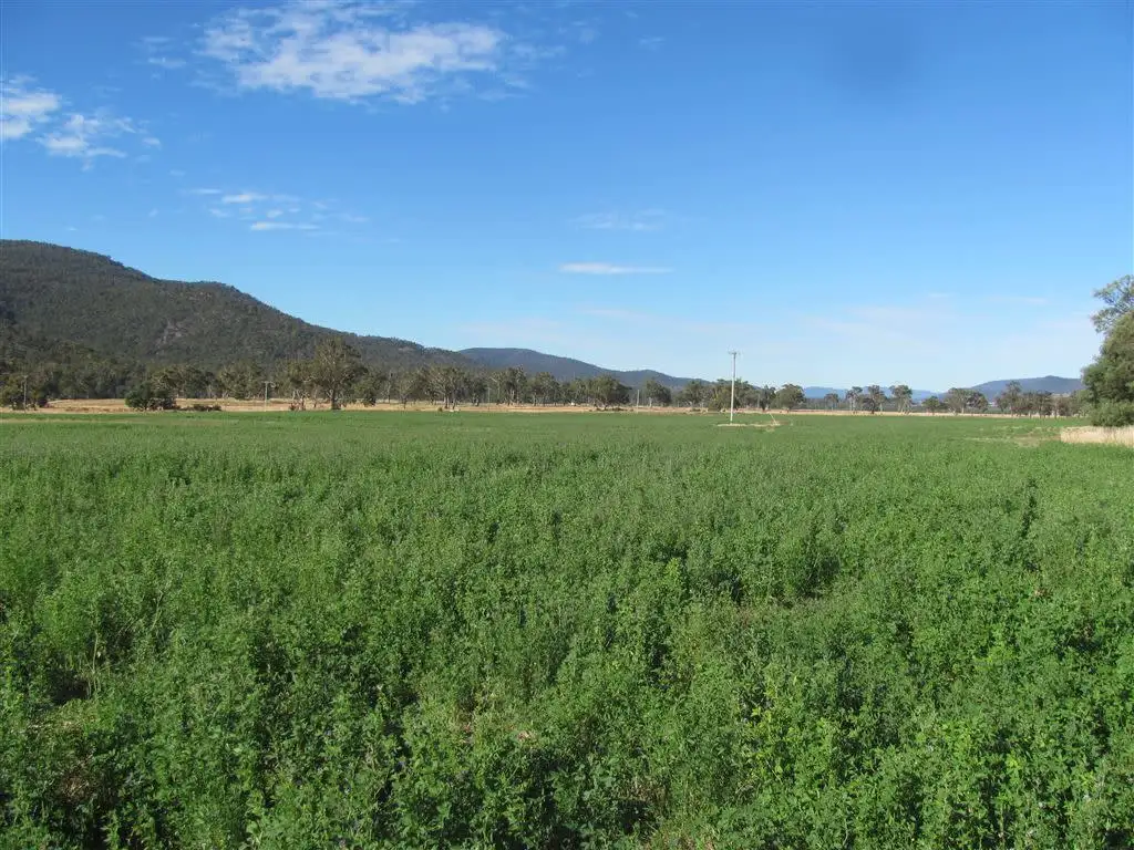 Main view of Homely rural property listing, 2880 Esk Main Road, Avoca TAS 7213