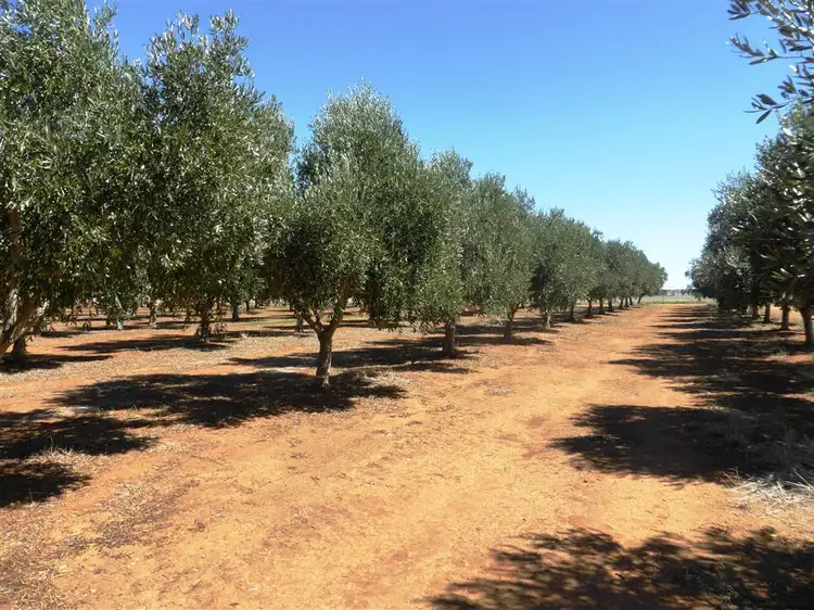 Fourth view of Homely rural property listing, Lot 21 Blyth Plains Road, Blyth SA 5462