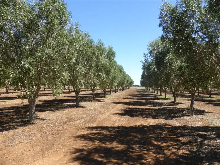 Fifth view of Homely rural property listing, Lot 21 Blyth Plains Road, Blyth SA 5462