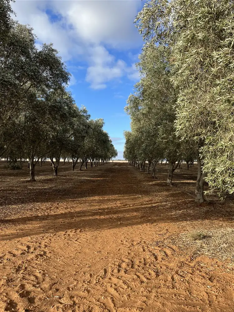 Sixth view of Homely rural property listing, Lot 21 Blyth Plains Road, Blyth SA 5462