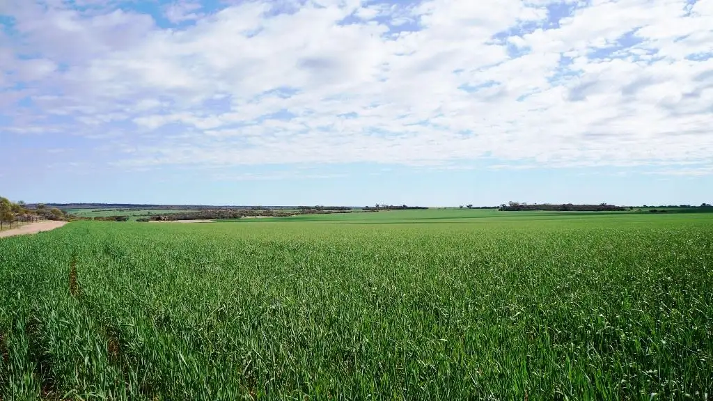 Main view of Homely rural property listing, Address available on request