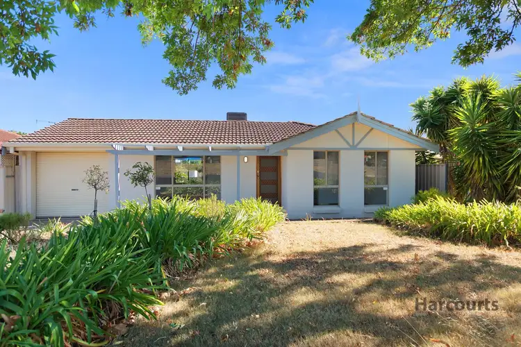 35 Martinique Drive